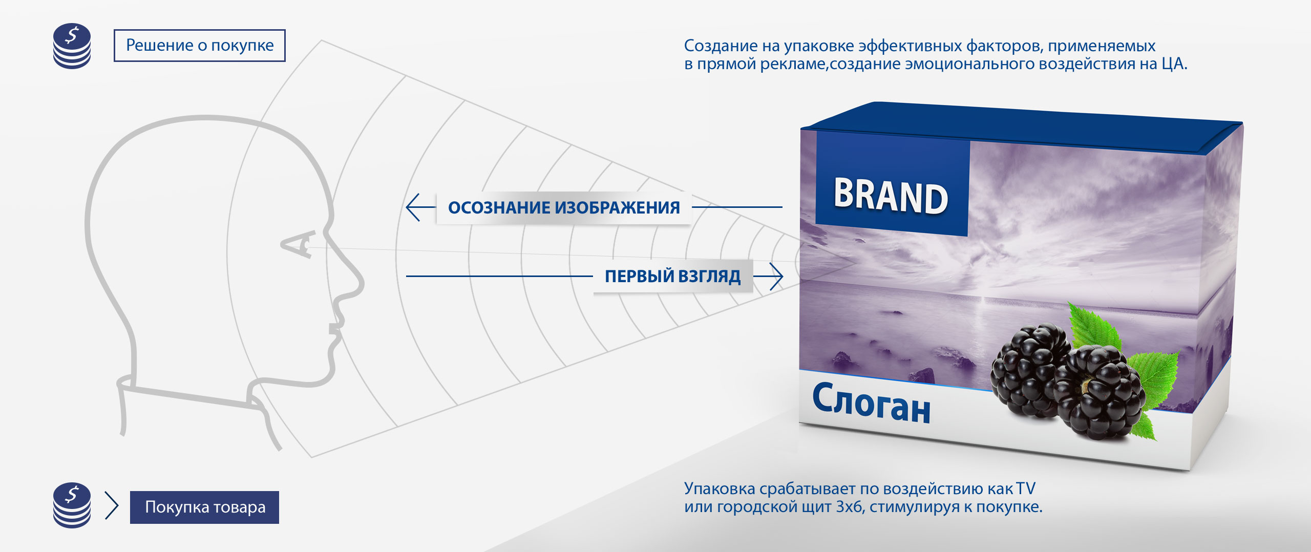 Диаграмма, показывающая, как упаковка влияет на решения о покупке: профиль человека рассматривает коробку с ежевикой, надписью «BRAND» и «Слоган». Стрелки указывают на стадии восприятия: первый взгляд и распознавание образа от брендингового агентства Soldis