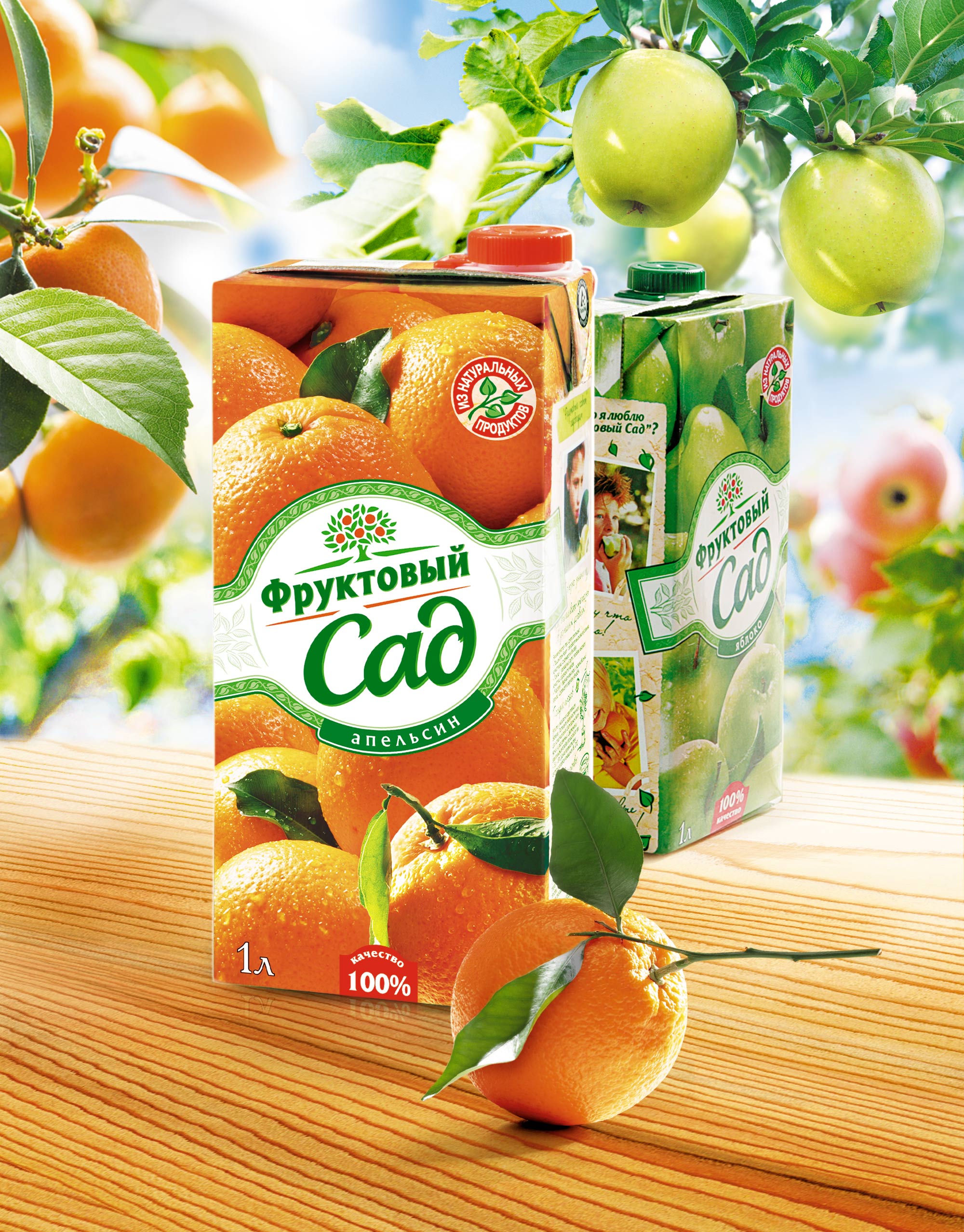 https://dev.soldis.ru/wp-content/uploads/2024/02/Top_banner_FrutSad_v1.jpg