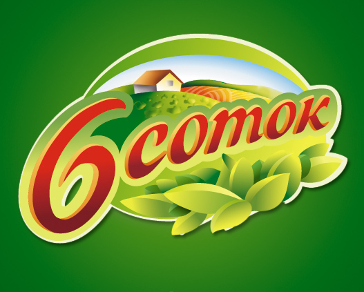 логотип до рестайлинга бренда 6 соток