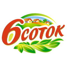 Логотип бренда 6 соток в дизайне от Soldis.