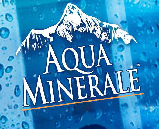 Логотип Aqua Minerale в портфеле брендингового агентства Soldis