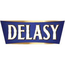 Синий логотип в форме трапеции с золотой рамкой содержит слово DELASY, написанное большими белыми заглавными буквами с золотым контуром над словом Soldis.